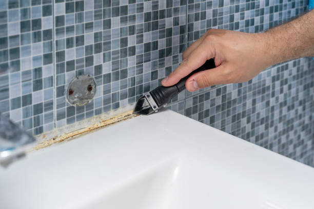 Best Water Damage Restoration  in Bourbon, MO