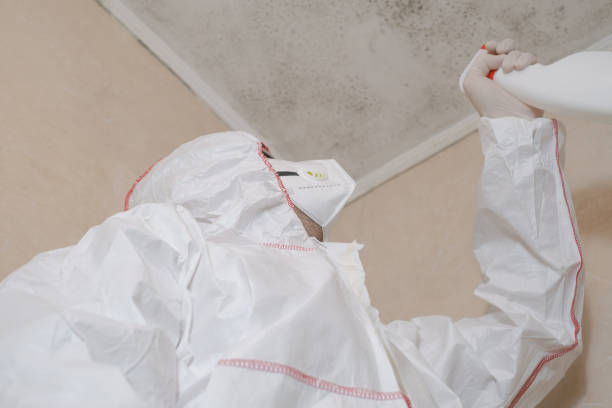 Bourbon, MO Mold Removal Company
